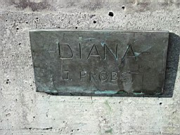 Diana4_02.JPG